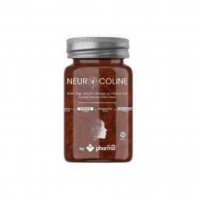 NEUROCOLİNE